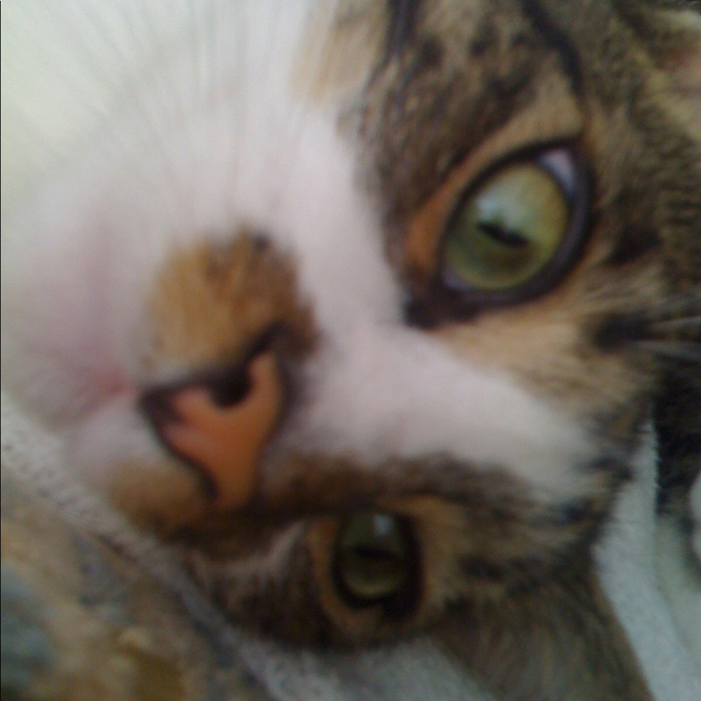 Meet your Posher, Anna